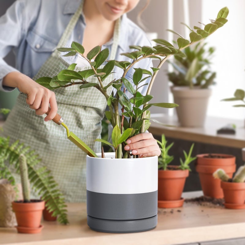 D'vine Dev 6.5 Inch Ceramic Planter Pot with Drainage Hole and Saucer, Indoor Cylinder Round Flower Pot, White/Speckled Grey, 94-O-C-6 - Image 5
